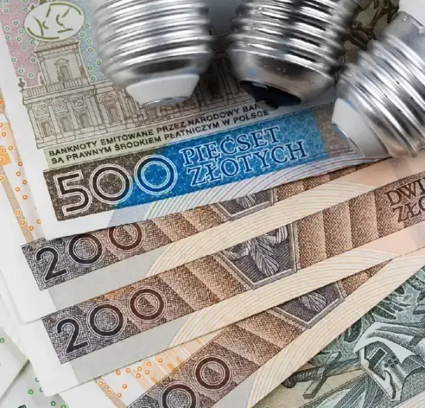 Ile urządzeń zasilisz 1 kWh? Sprawdź, by nie przepłacać